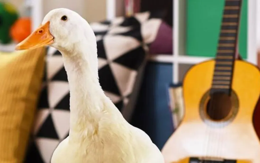 ACM Lifting Lives Partners with Aflac and Carly Pearce to Present Aflac ACM Lifting Lives Honor for the Second Consecutive Year