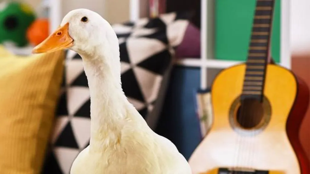 ACM Lifting Lives Partners with Aflac and Carly Pearce to Present Aflac ACM Lifting Lives Honor for the Second Consecutive Year